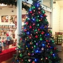 12月に訪れたので、店内にはクリスマスツリーがありました。