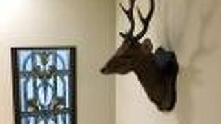 海の見えるペンション ローズマリー