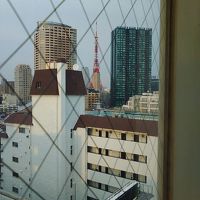 東京タワーが見えます