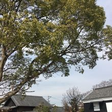 歴史ある住居