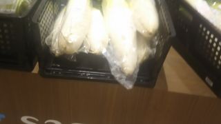 相模大野ショッピングセンター２Ｆの地元のものがいろりろあります。