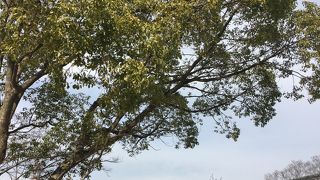 半田運河沿いに。