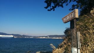 天然記念物の島　竹島