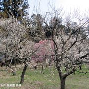 狙い目は平日