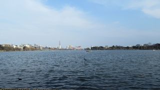 湖の先に水戸の市街が映える