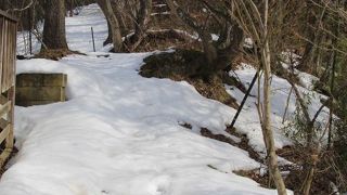 冬季は雪で覆われています