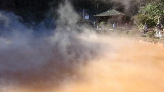 ここが最も地獄らしいかも（血の池地獄）