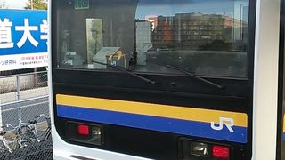 普通列車には基本的に２０９系が使用されています