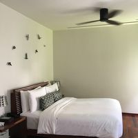 壁の鳥の飾りがかわいい