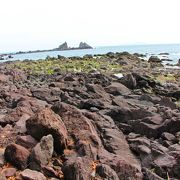 磯遊びも出来るよ♪お天気の良い春先には気持ちの良い散歩道