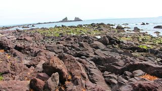 磯遊びも出来るよ♪お天気の良い春先には気持ちの良い散歩道