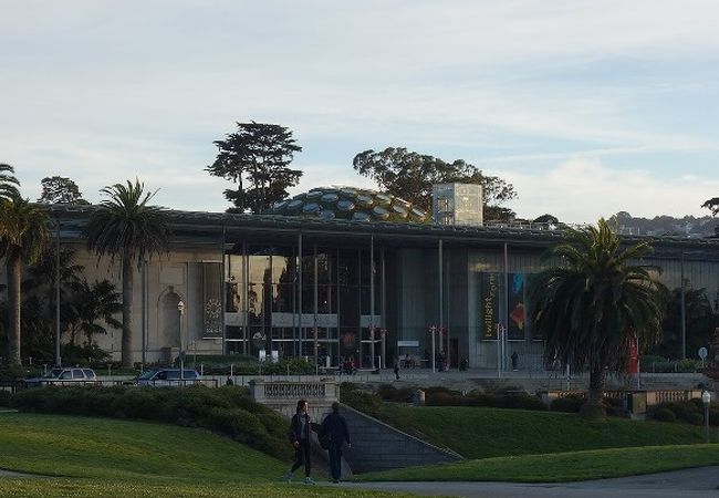 カリフォルニア科学アカデミー クチコミ アクセス 営業時間 サンフランシスコ フォートラベル カリフォルニア科学アカデミー クチコミ アクセス 営業時間 サンフランシスコ フォートラベル