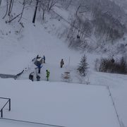 家族で霧氷を楽しむ