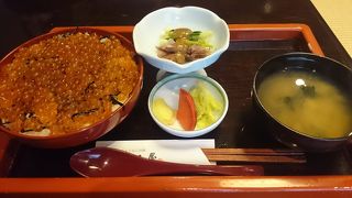 サイズいろいろはらこ丼