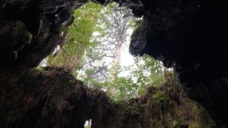 縄文杉登山の中継地点。