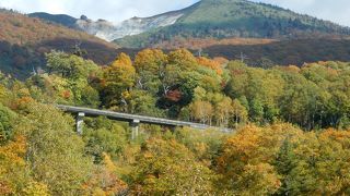 玉川温泉の紅葉を撮影するなら、このあたりで