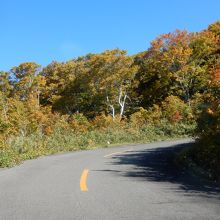 ヘアピンの連続で高度を稼ぐ