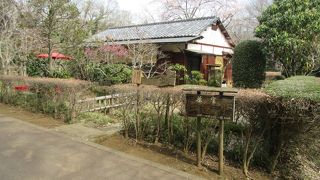 風情が味わえます