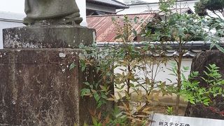 歴史地区に立っています