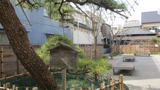 立派な松が植えられています