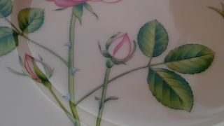 おしゃれなプレートに気分も上がる！