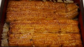 お店自慢のきょうすいうなぎをいただきました