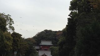 鎌倉のメイン。