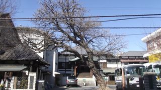 新旧併せ持っているように思う真言宗の寺院です