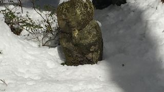 雪が絵になる三千院