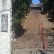 立派な山門や本堂、伏姫桜など見どころが多いお寺です