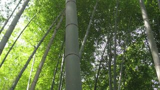 人通りが途切れる時間帯もある・・・