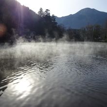 霧の金鱗湖