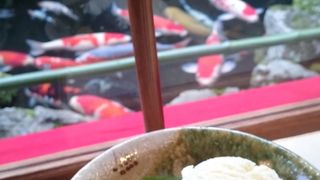 待ち時間も緋鯉見物