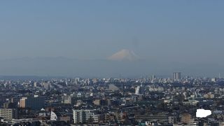 空気が澄んでいれば富士山も見られる