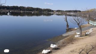 水戸駅近くにある貴重な水場