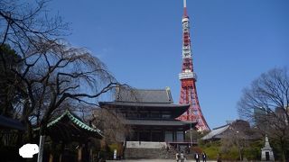背後に東京タワーを控えた徳川家ゆかりの寺院