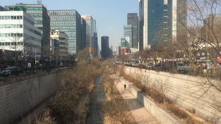 地元っ子からは賛否両論