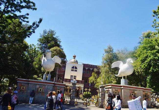 エチオピア国立博物館 クチコミ・アクセス・営業時間｜アディス