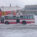 宗谷岬へのバス