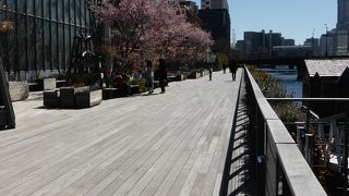 おしゃれな街並み