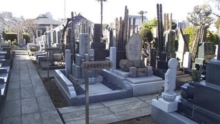 墓所の真ん中に立派な墓石が建ててあります