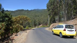 タクシーチャーターで観光がとても便利！