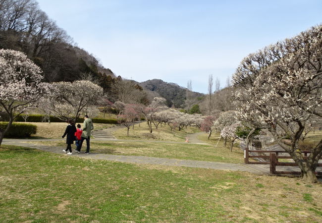 遊具もある