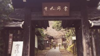 紅葉でなくても素晴らしい庭園