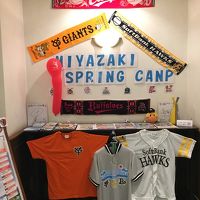 2月のキャンプ期