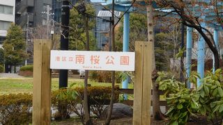 見通しの良い、落ち着いた雰囲気の公園