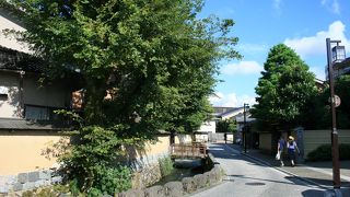 散歩しながらの観光