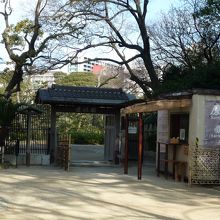 入場場がかかるようになりました