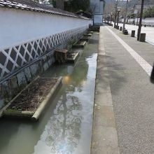 鯉が泳いでいますが濁っている