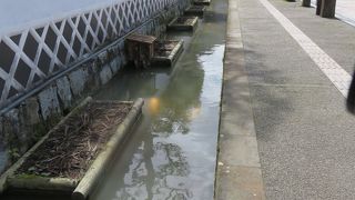 大雨の改修工事で堀は濁っていた